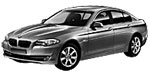 BMW F10 P1888 Fault Code